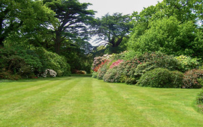 Stromerzeuger Garten